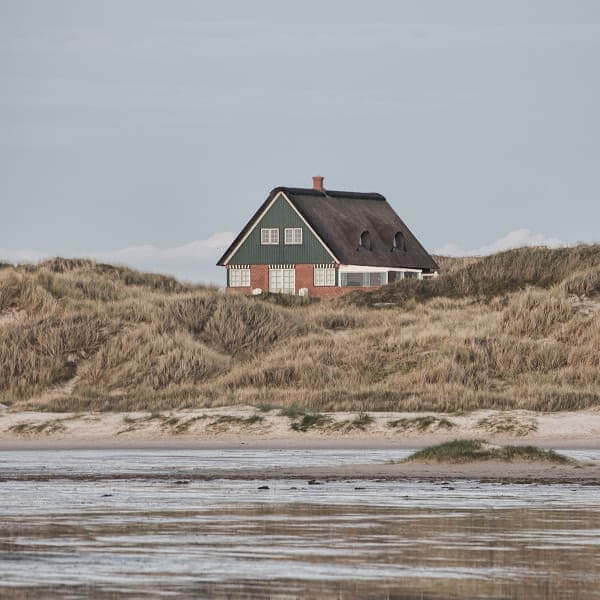 Petit chalet en bois entouré de bouleaux enneigés dans un paysage d'hiver.